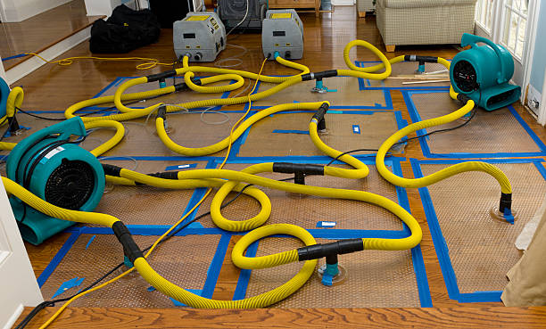 Professional Crawl Space Water Removal technician working in Laramie, WY